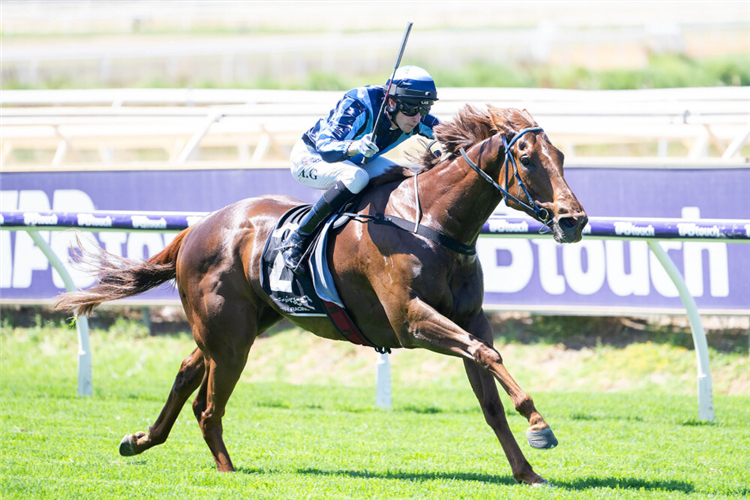 SMOOTH CHINO winning the Black Heart Bart Stakes
