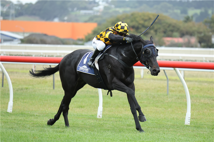 「那就走」夺冠