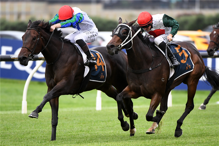 「纯金」（内侧）