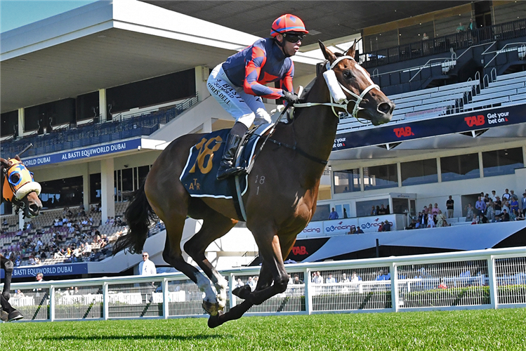 SPECIAL SAKURA winning the FULTON FAMILY STAKES