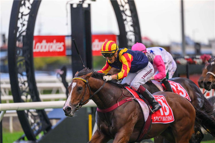 SPICY MARTINI winning the LADBROKES STRADBROKE HANDICAP at Eagle Farm in Australia.