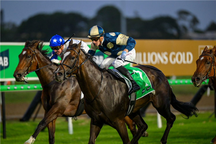 SPYWIRE winning the TAB MAGIC MILLIONS THE SYNDICATE at Gold Coast in Australia.