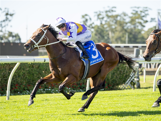 「圣哥达」夺冠在老鹰马场上举办的基亚奥拉血统头条让赛（KIA ORA BLOODLINES TO HEADLINES HANDICAP）