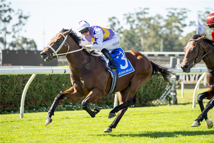 「圣哥达」夺冠起亚奥拉血统头条让赛（Kia Ora Bloodlines To Headlines Handicap）