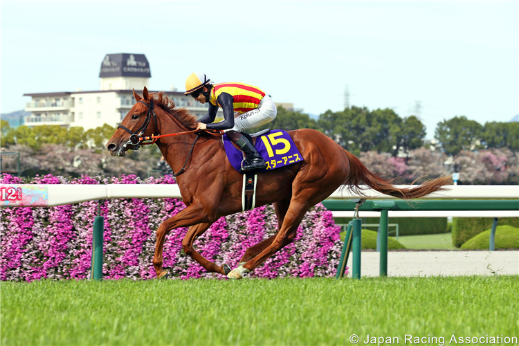 STAR ANISE winning the Oka Sho at Hanshin in Japan.