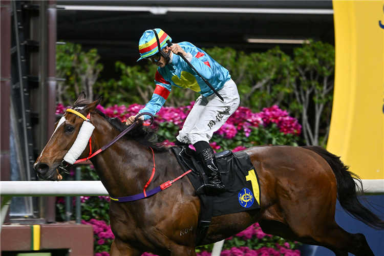 STORMI winning the ROBINSON HANDICAP