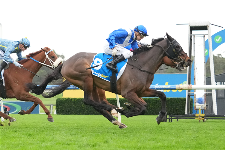 STRAAND DEAL winning the Sportsbet Same Race Multi Handicap at Sandown in Australia.