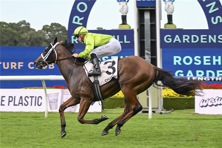 「斯特雷坦王」