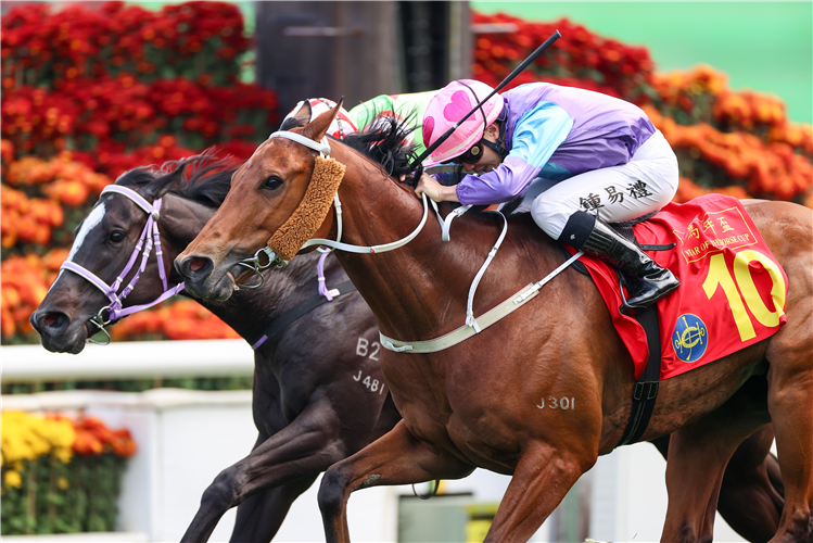 STUNNING PEACH (No.10) winning the THE YEAR OF THE HORSE CUP (HANDICAP)