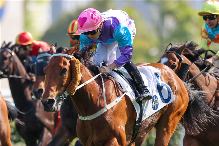 STUNNING PEACH winning the DEVON HANDICAP