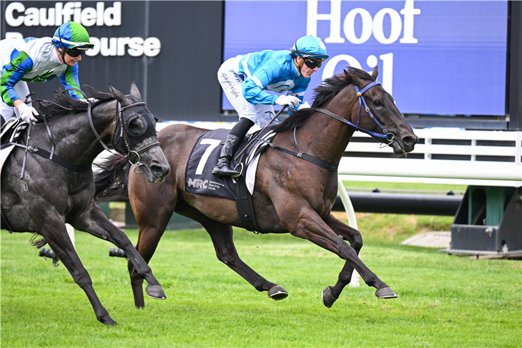 STYLISH SECRET winning the Ule Hoof Oil Handicap at Caulfield in Australia.