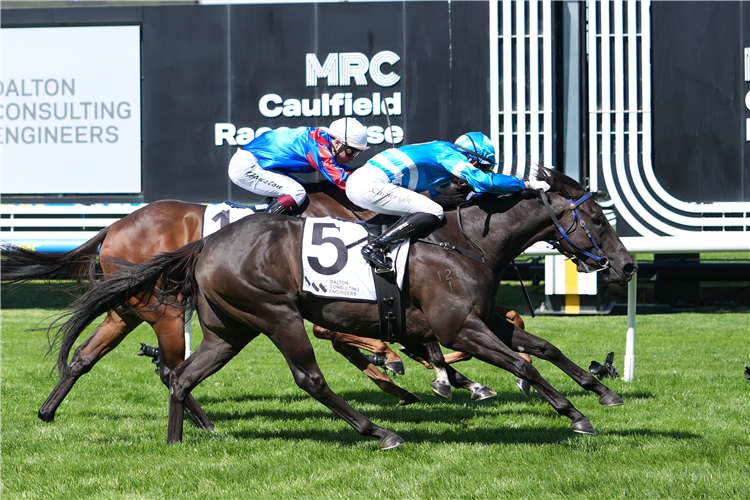 STYLISH SECRET winning the DCE Handicap at Caulfield in Australia.