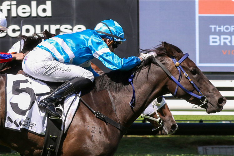 「时尚秘密」夺冠