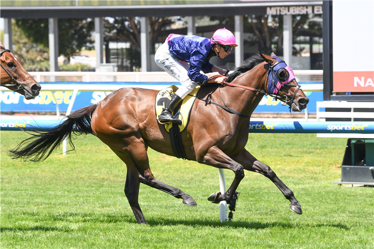 SUNTORA winning the Rise Kitchen Co VOBIS Gold Heath at Caulfield in Australia.