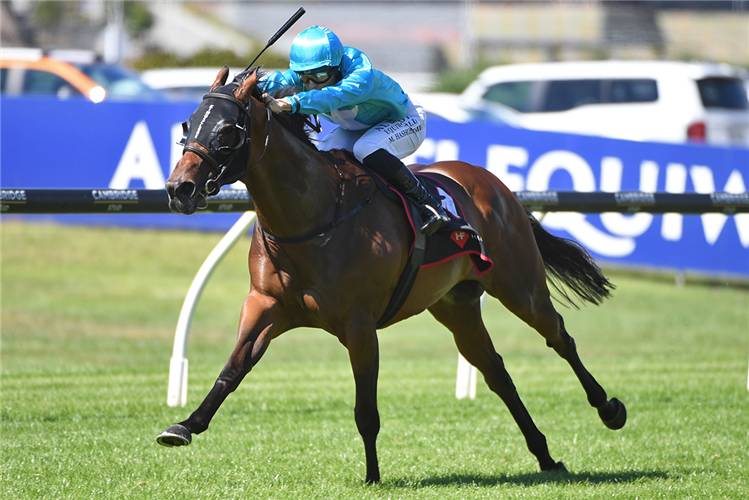 SWEYNESDAY winning the HAUNUI FARM KING'S PLATE