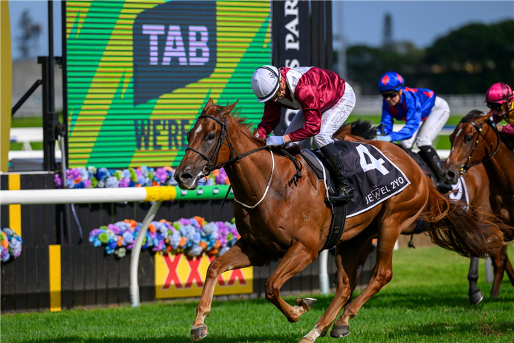 SWIFT DRAGON winning the AQUIS QTIS JEWEL 2YO at Gold Coast in Australia.