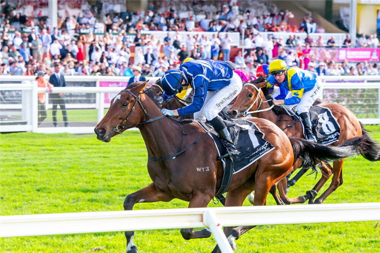 TALKANCO winning the Lawn Pride Australia