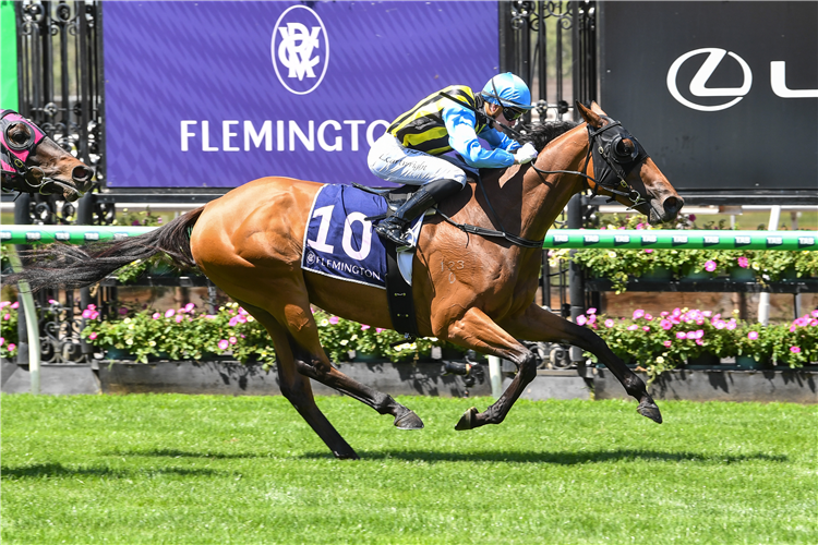 TARVUE winning the TAB We're On at Flemington in Australia.