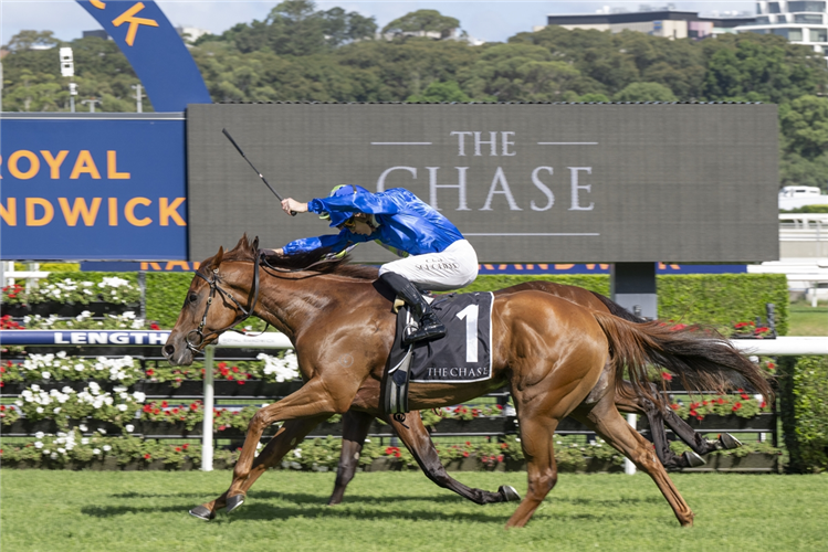 「鬼迷心窍」夺冠包围锦标赛