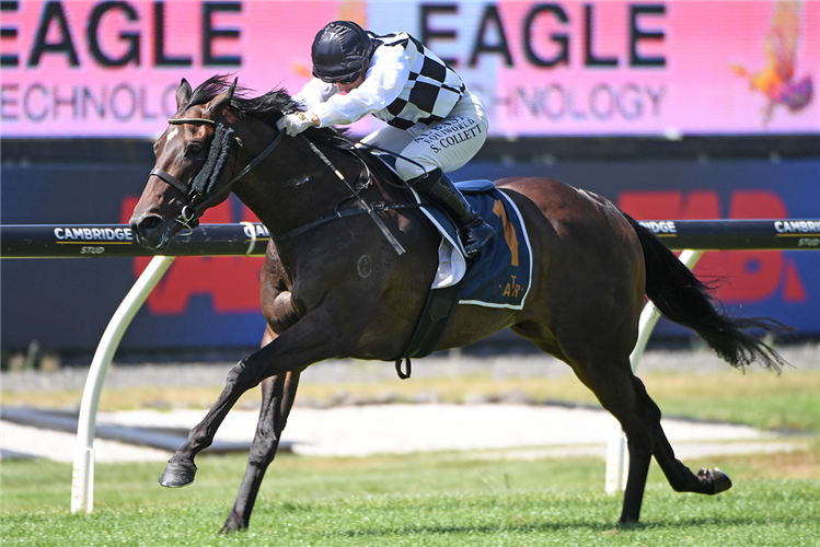 THAT'S GOLD winning the EAGLE TECHNOLOGY AVONDALE GUINEAS