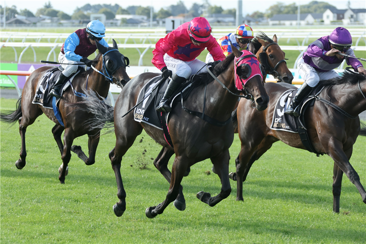 THE BOSS LADY winning the FREEMAN IRRIGATION RATING 65