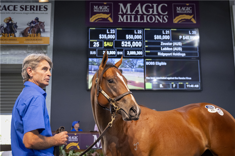珀斯周岁马拍卖中售价最高赛驹