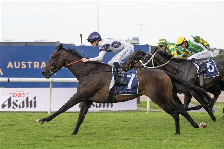 THEBUDGIESMUGLA winning the THE QUEEN ELIZABETH II CUP at Rosehill Gardens in Australia.