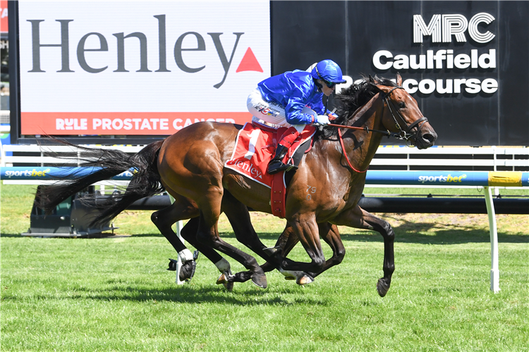 「小猫汤姆」夺冠凯文赫弗南锦标赛