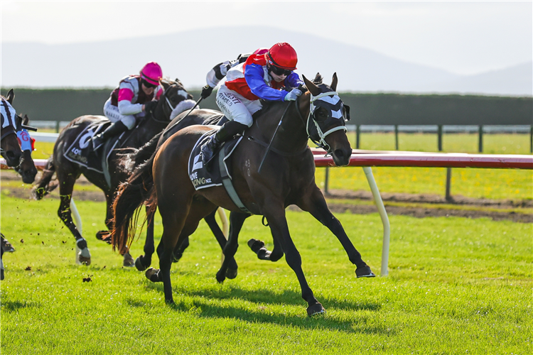 TOMASINA winning the FRANCOLIN STAKES