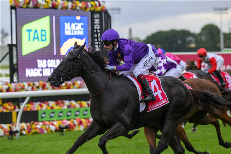 「确认扭矩」夺冠黄金海岸神奇百万三岁马坚尼赛