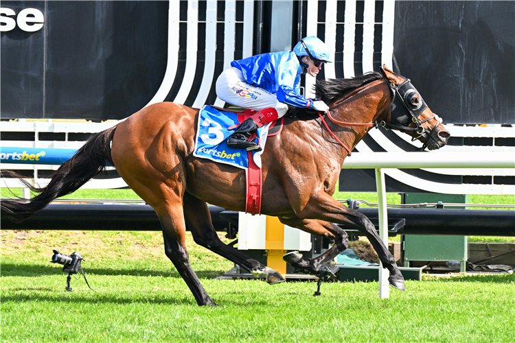 TROPICUS winning the Sportsbet Oakleigh Plate at Caulfield in Australia.