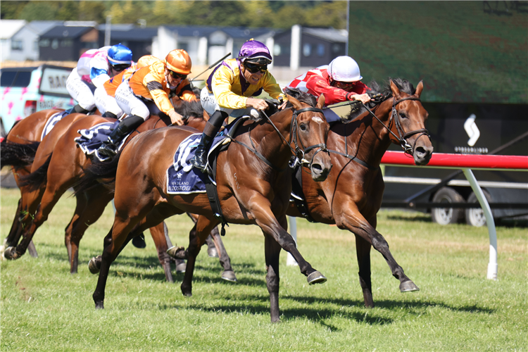 ULTIMATE HABIT winning the JENNIAN HOMES LOWLAND STAKES