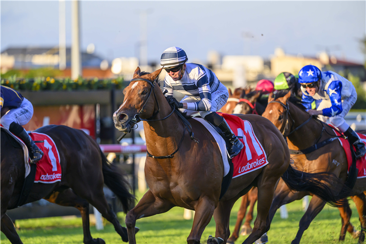 UNCOMMON JAMES winning the Ladbrokes Moreton Cup