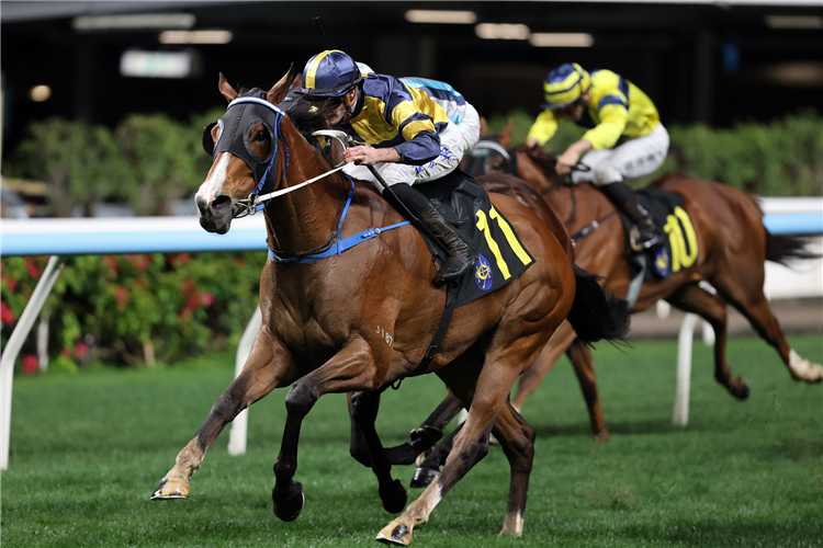 VERBIER winning the INTERCONTINENTAL LIMOUSINE HANDICAP