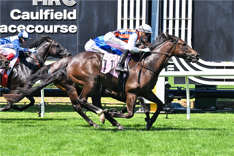 VERDOUX winning the Whispering Angel Handicap at Caulfield in Australia.