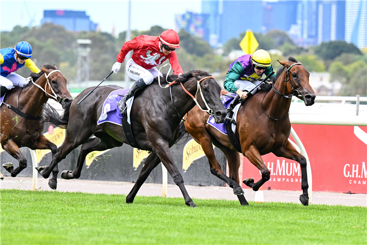 WATERSPORTS winning the Good Friday Appeal Plate at Flemington in Australia.
