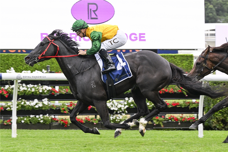 WEEPING WOMAN winning the ROBRICK LODGE TRISCAY STAKES at Randwick in Australia.
