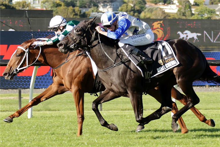 WELL WRITTEN winning the THE NZB KIWI