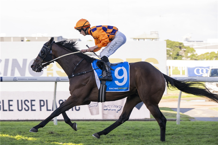 「哇哇呼声」夺冠唐卡斯特预赛