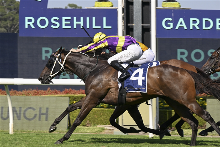 WILLAIDOW winning the JRA PLATE at Rosehill Gardens in Australia.