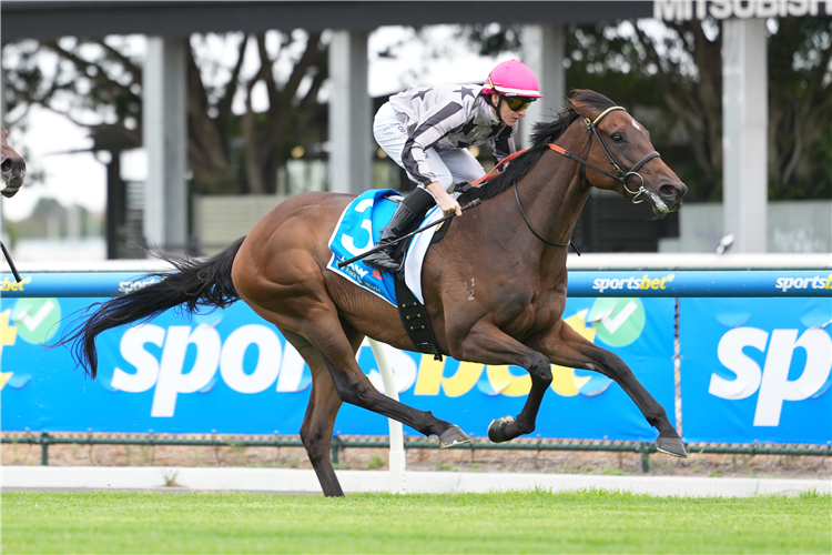 YES YOSHI winning the Stow Storage Solutions Handicap at Caulfield in Australia.