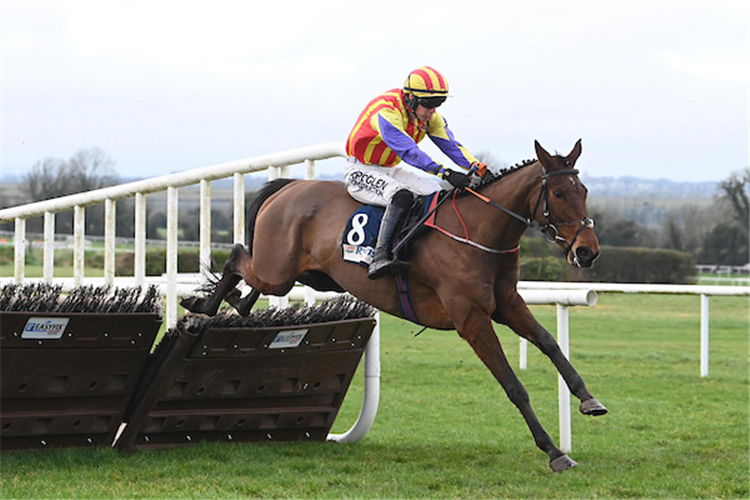 ZANOOSH winning the Apple's Jade Mares Novice Hurdle at Navan in Ireland.