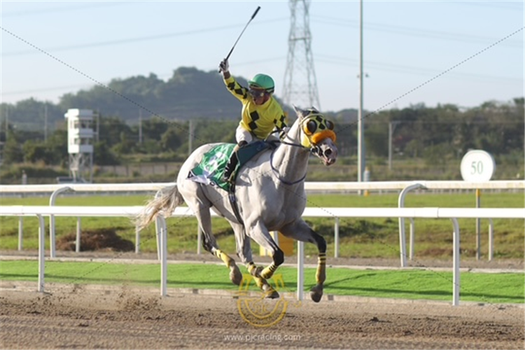 Don Julio winning the Presidential Gold Cup