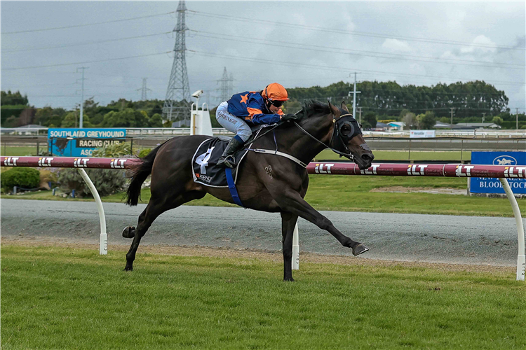 Smooth Operator winning the Olphert Contracting Ltd Invercargill Gold Cup (2600m) at Ascot Park on Saturday.