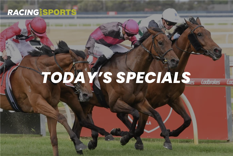 Today's specials from the team