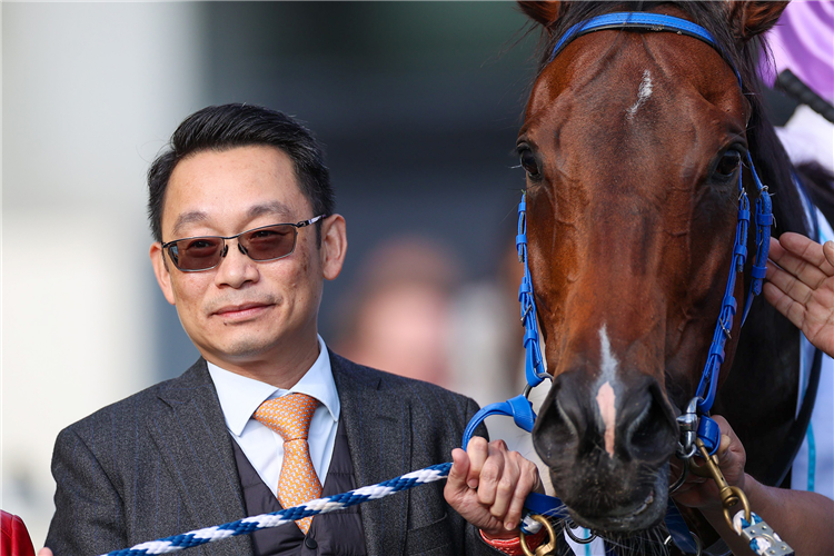 Trainer Jimmy Ting leads in Little Paradise following his Hong Kong Classic Mile triumph.