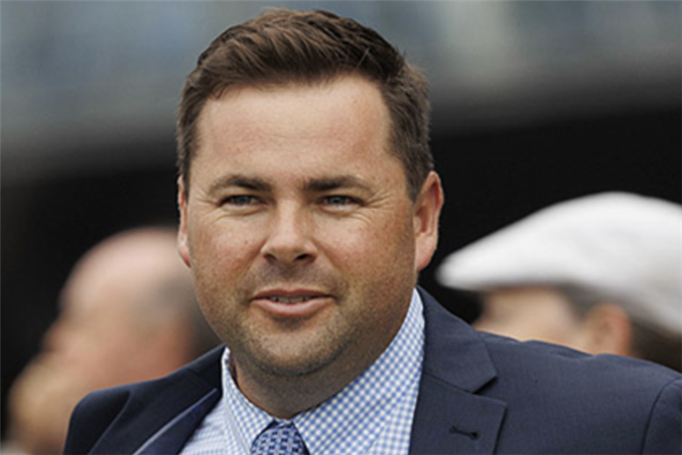 驯马师：理查德·利特