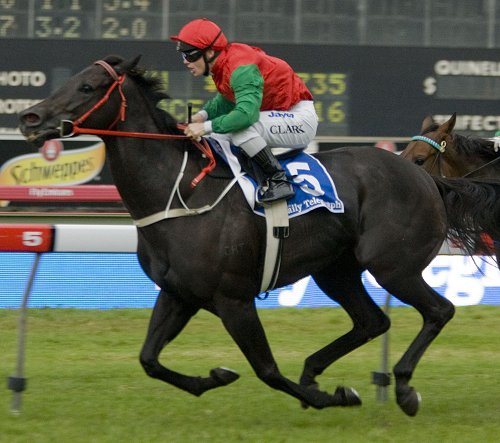 Hot Danish finally won her G1 in the 2010 All Aged Stks