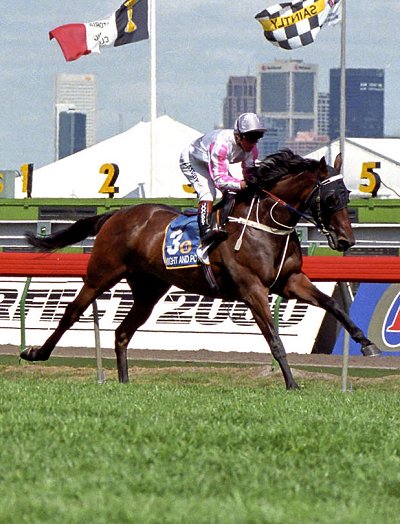 Might And Power what a horse - won a Doomben Cup