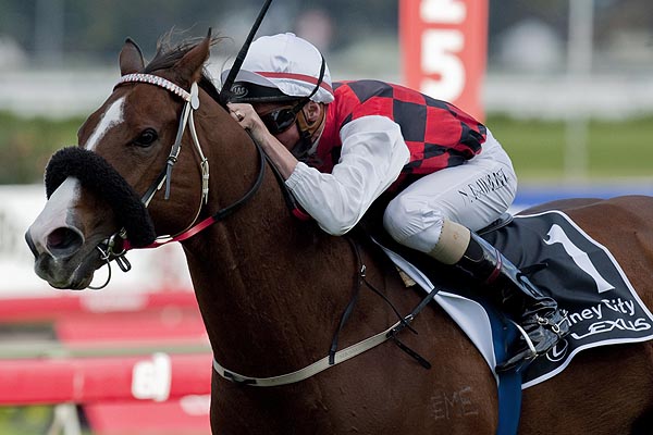 Champion sprinter, the ageless warrior, Takeover Target, won the Winterbottom Stakes in 2008.